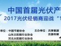 為中國光伏產(chǎn)業(yè)搭建“一帶一路”綠色盛會